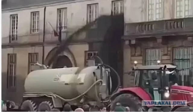 В Новосибирске задержали журналиста, который освещал массовое уничтожение рогатого скота