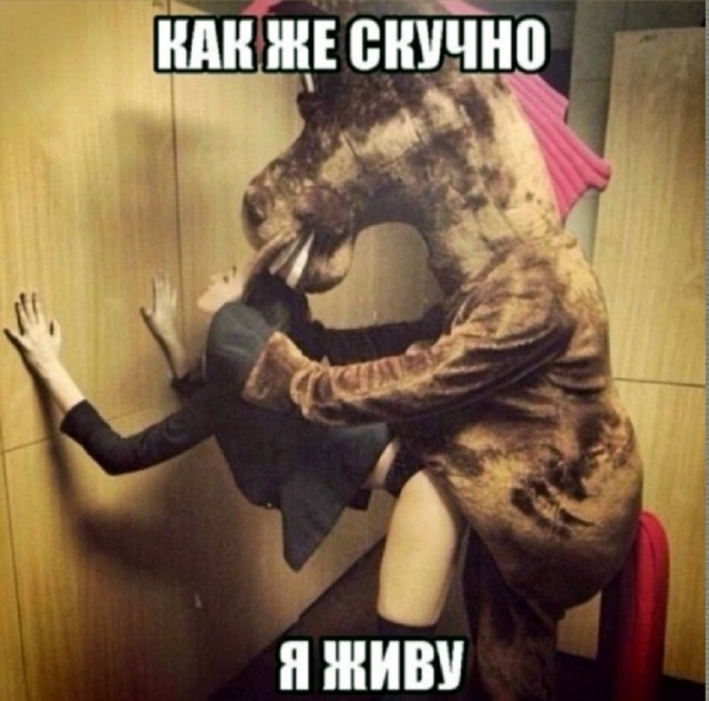 Так себе картинки 14.05.26