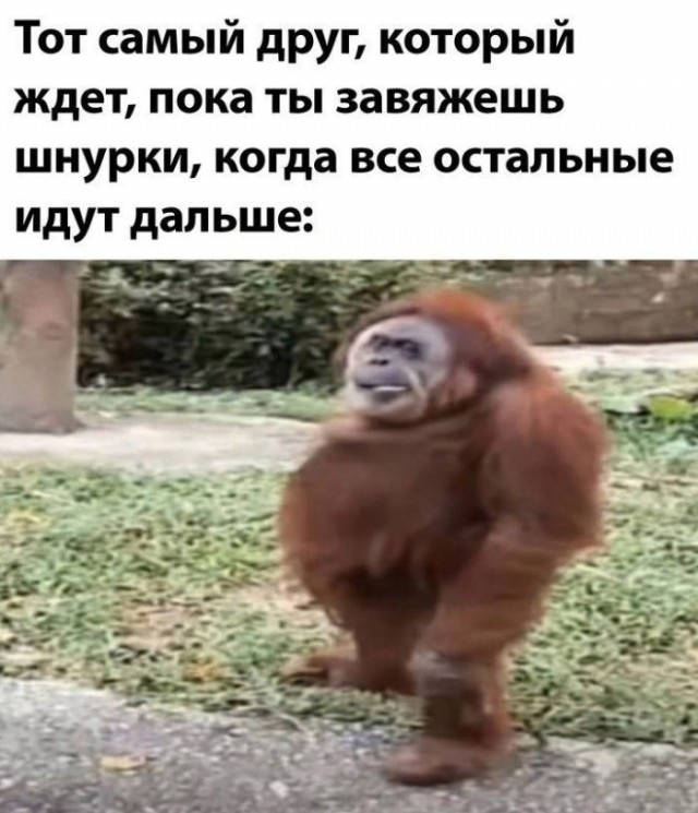 Картинки для деградации 253 (разной степени свежести)