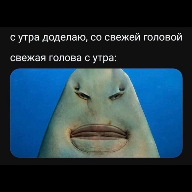Картинки для деградации 254 (разной степени сежести)
