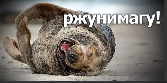 Без лоха - жизнь плоха