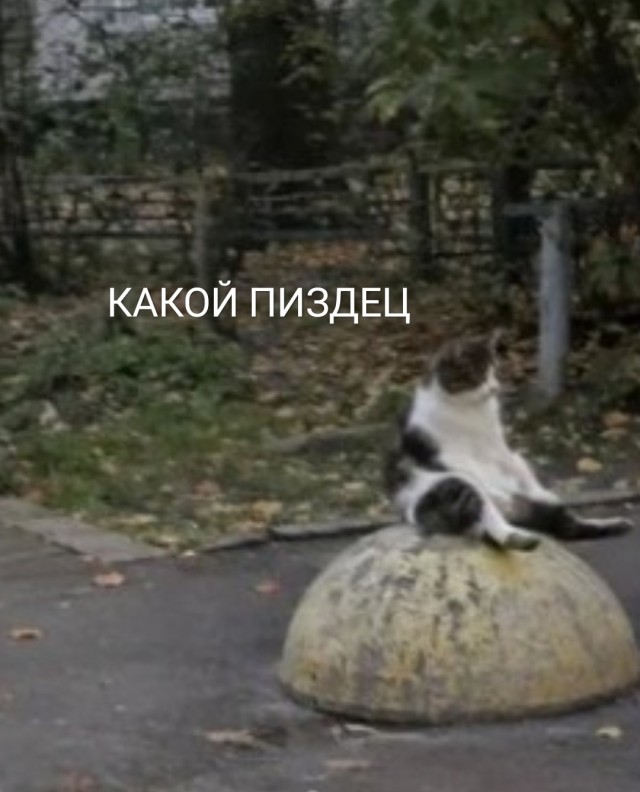Камушек