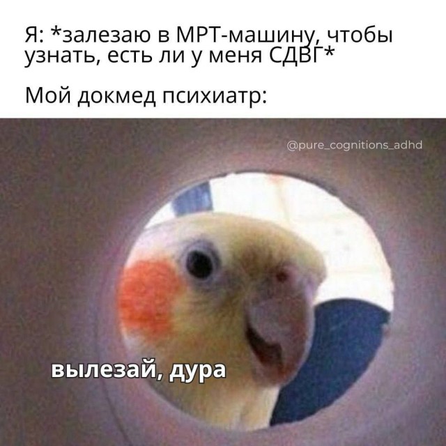 Психомемы-19