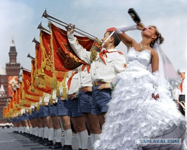 Невеста и жених