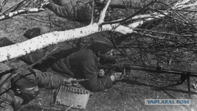 Мы помним и никогда не забудем.