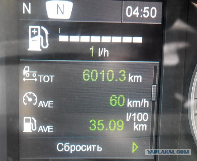 Озеленение Владивостока.