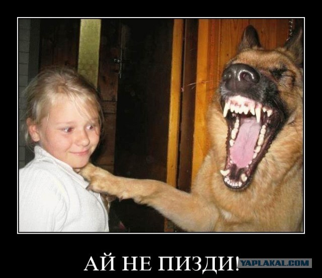 Украинские приколы.