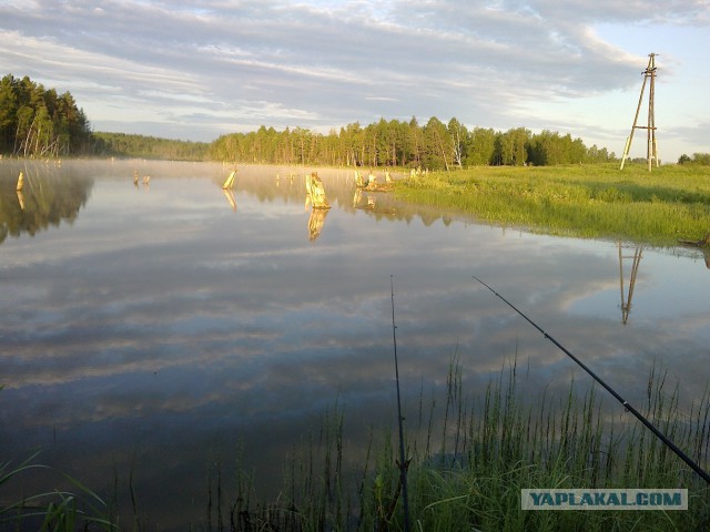 Скоро на всех водоёмах страны