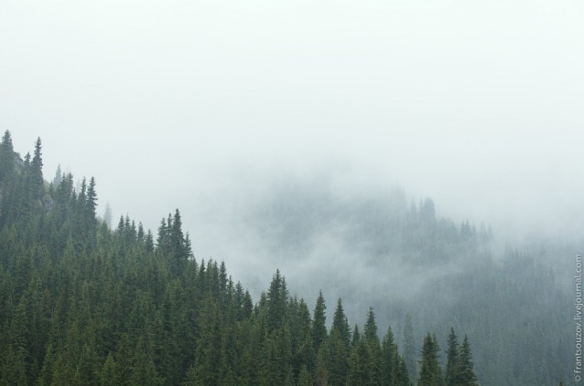 Озеро Каинды - Утонувший лес