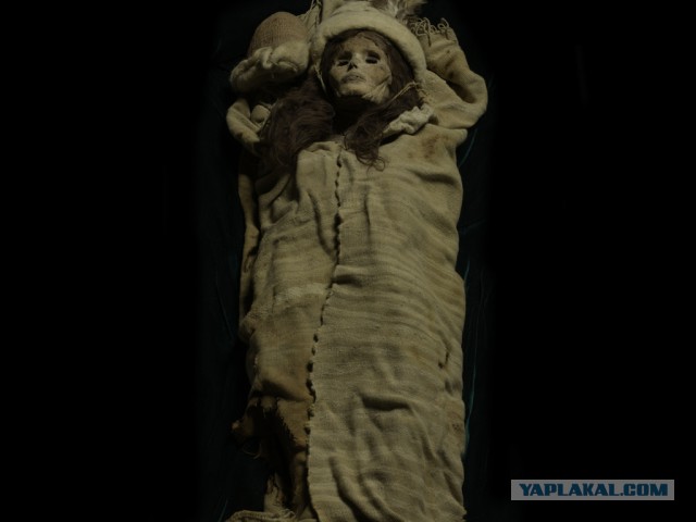 Вопросы к славянами и не только к ним