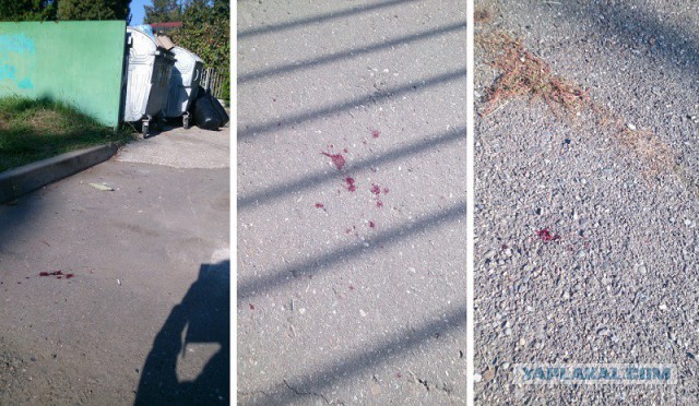 В школе 25 в Сочи избили ребенка толпой