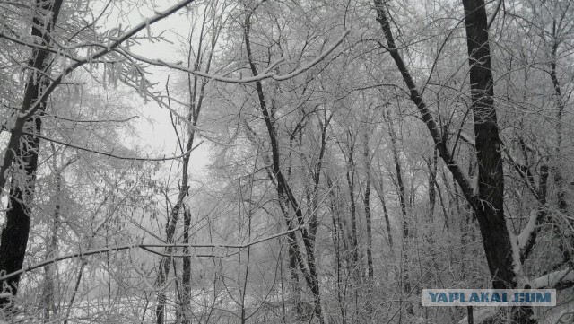 Как мы первый день зимы в Донецке встречали.