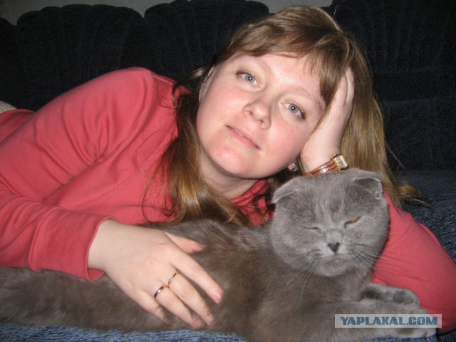 Котовторник