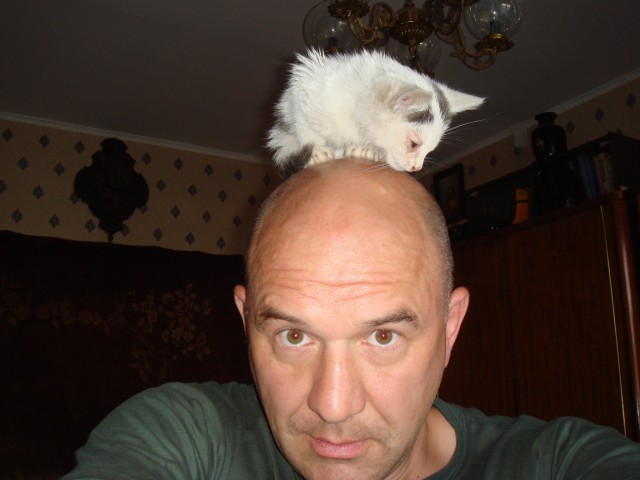 Котенок Дохлик щас