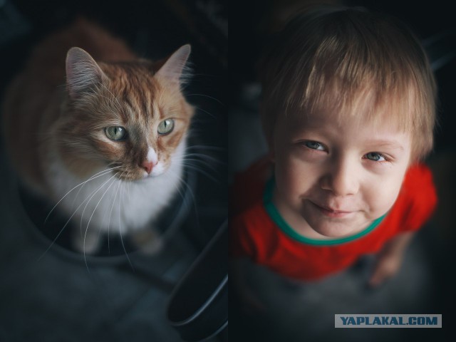 Советы начинающему фотографу наглядно