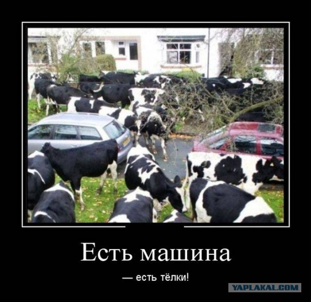 Традиционная пятничная подборка ВК и не только