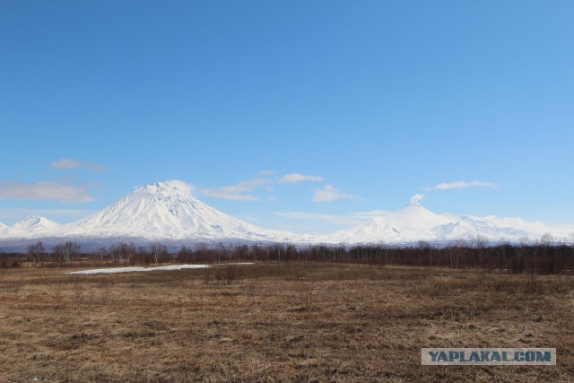 Путина 2005, Камчатка