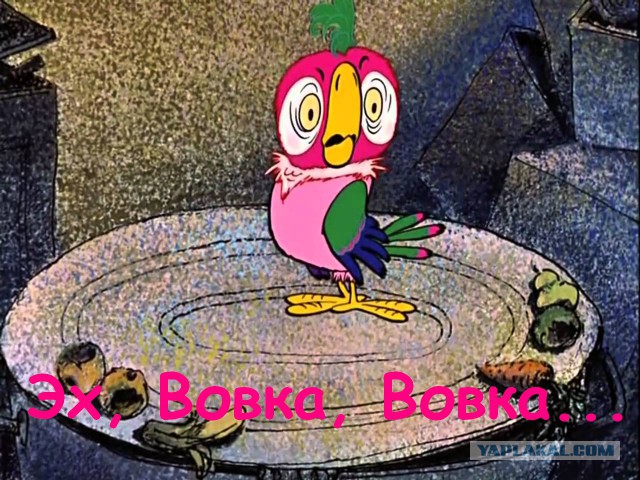 Женская модная одежда