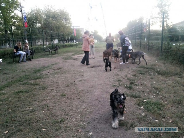 Она не кусается