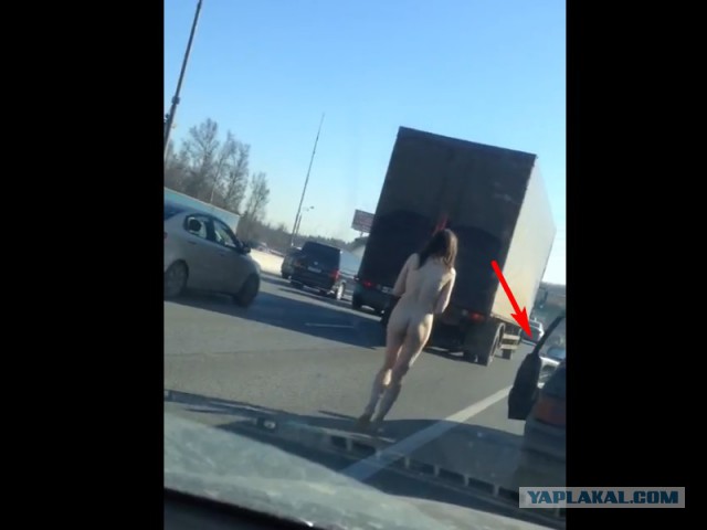 Голая девушка прогулялась по МКАД