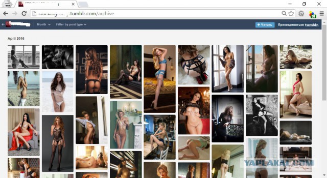 Фотографии девушек от  Владимира Мельникова из Норильска