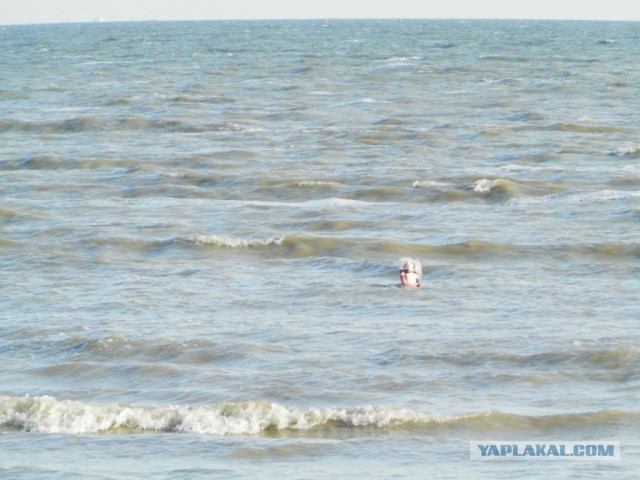 Отдых и лечение на Азовском море в г. Таганрог