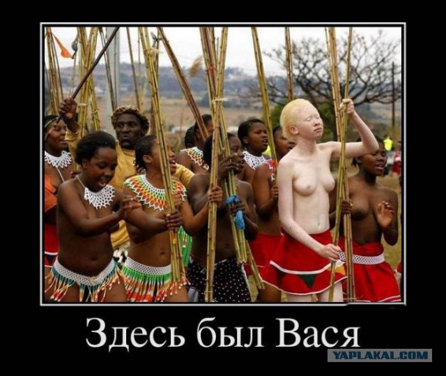 На Камчатке увидели белого бурого медведя