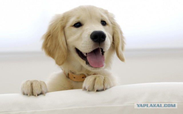 О жизни, смерти и любви. Взрослые сказки ©Ятаган