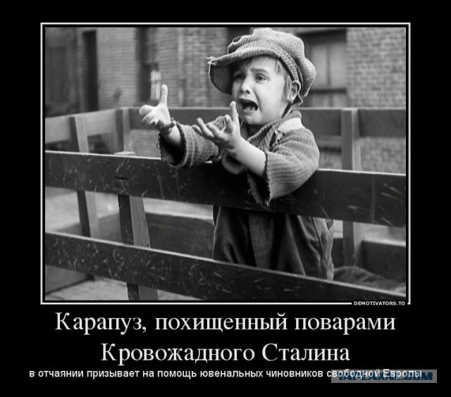 Подборка интересных и веселых картинок
