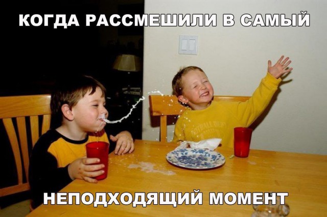 100 картинок для поднятия настроения!
