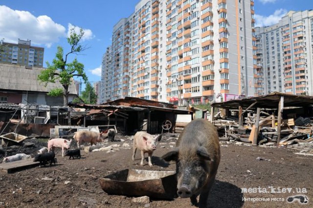 Эстетика заброшенных окраин