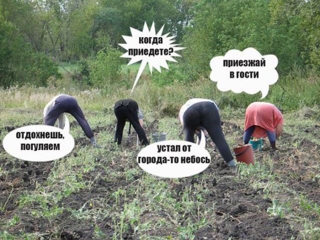 Нестандартный юмор