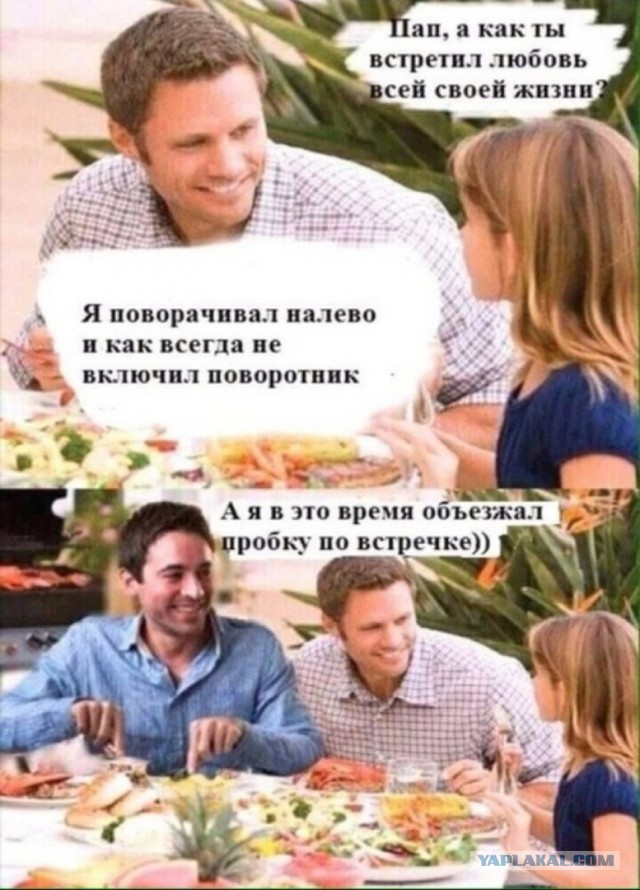 7 типов водителей, которые не включают поворотники