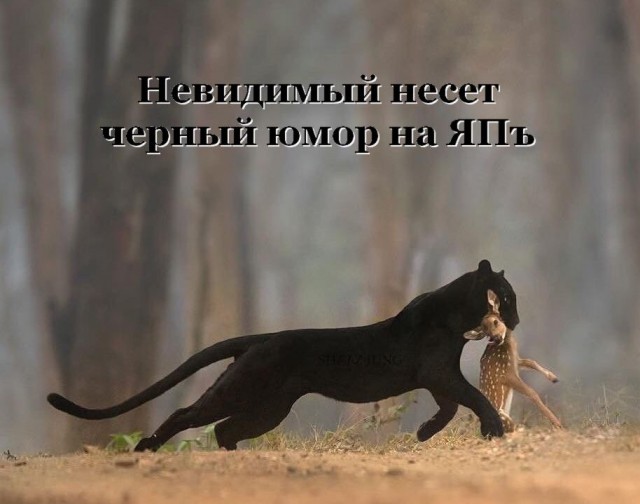 Черненький юморочек