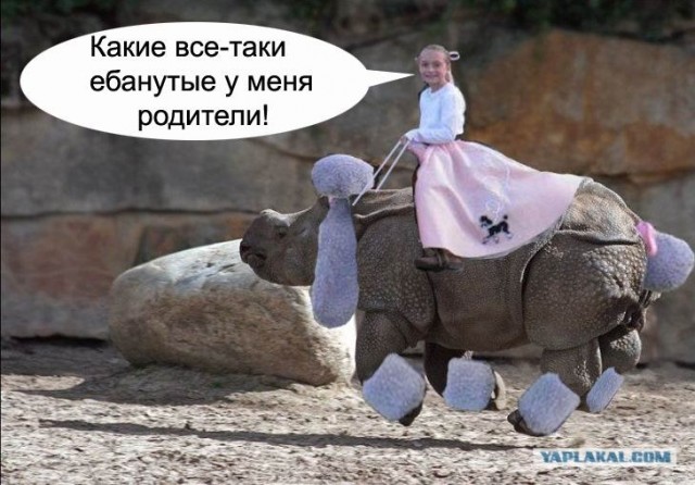 Летающий носорог
