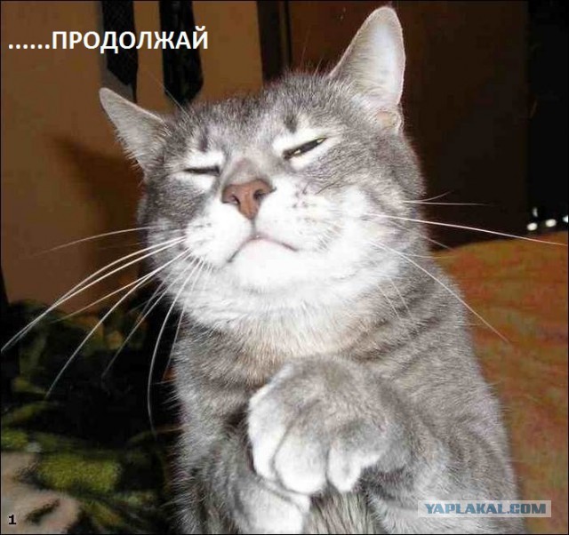 Против чего протестуют французы