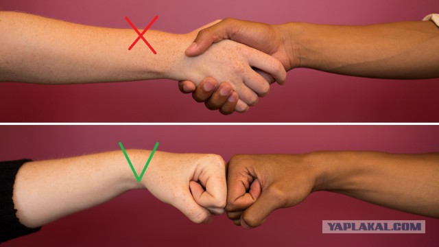 Как не здороваться с человеком, который после туалета руки не моет?