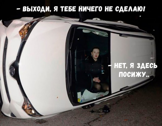 13329771.jpg