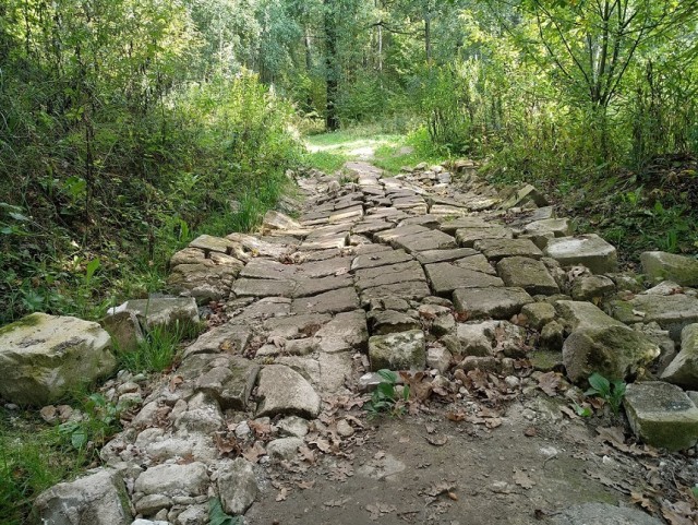 Сам себе фотограф