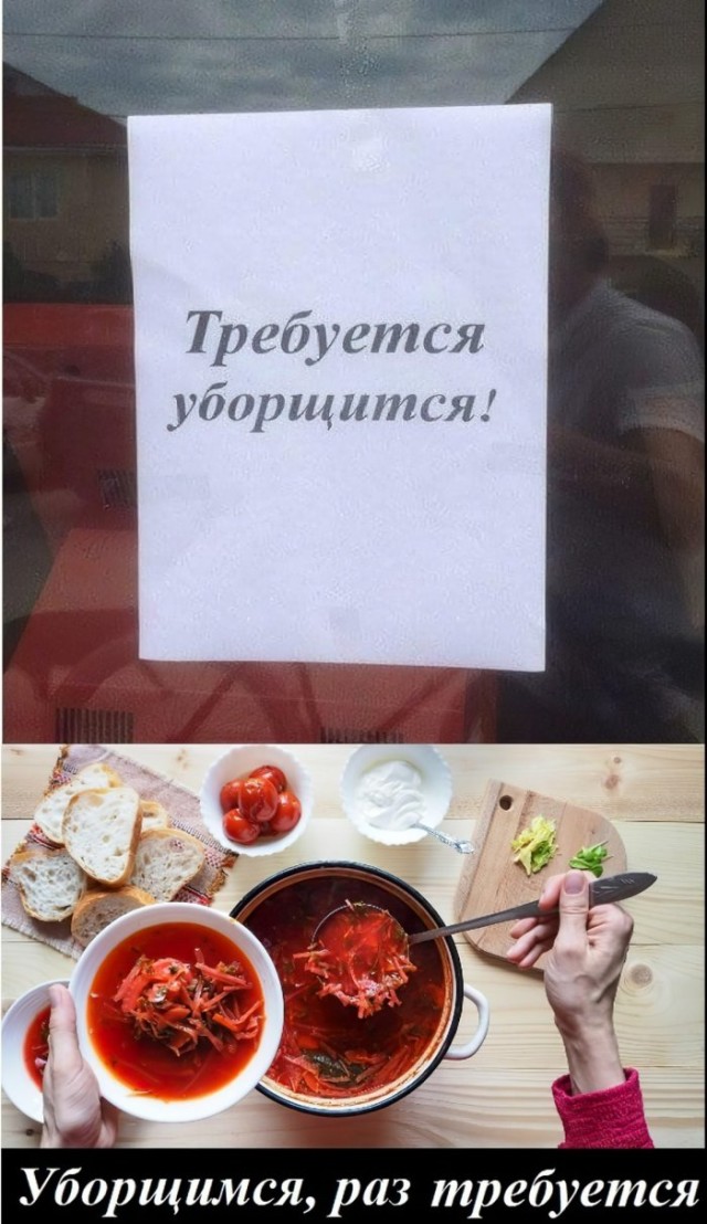 14253771.jpg