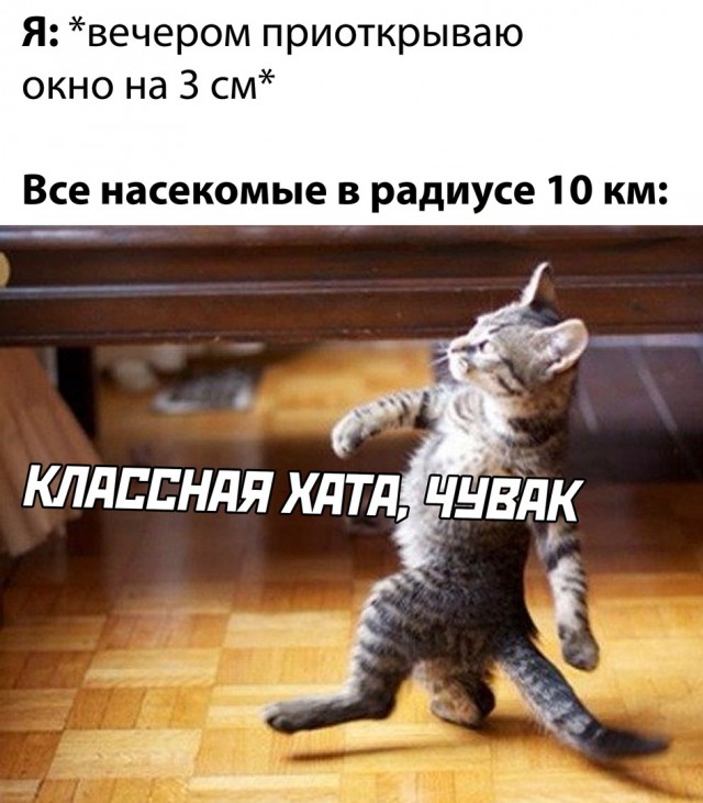 Чуток картинок 17.05.20