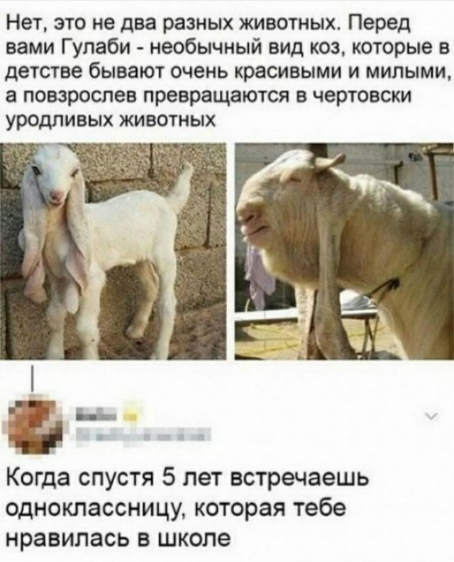 Первая любовь, первая женщина, первая любовница.