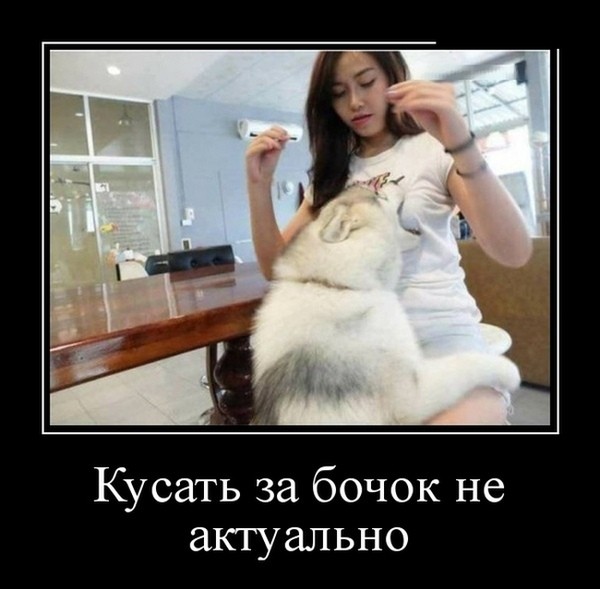 Так себе картинки 20.07.20