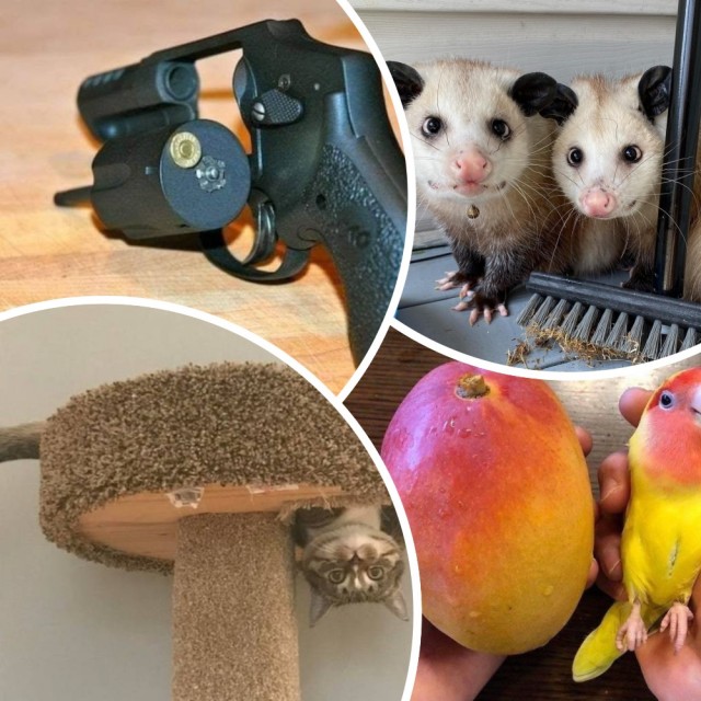 Всякая всячина