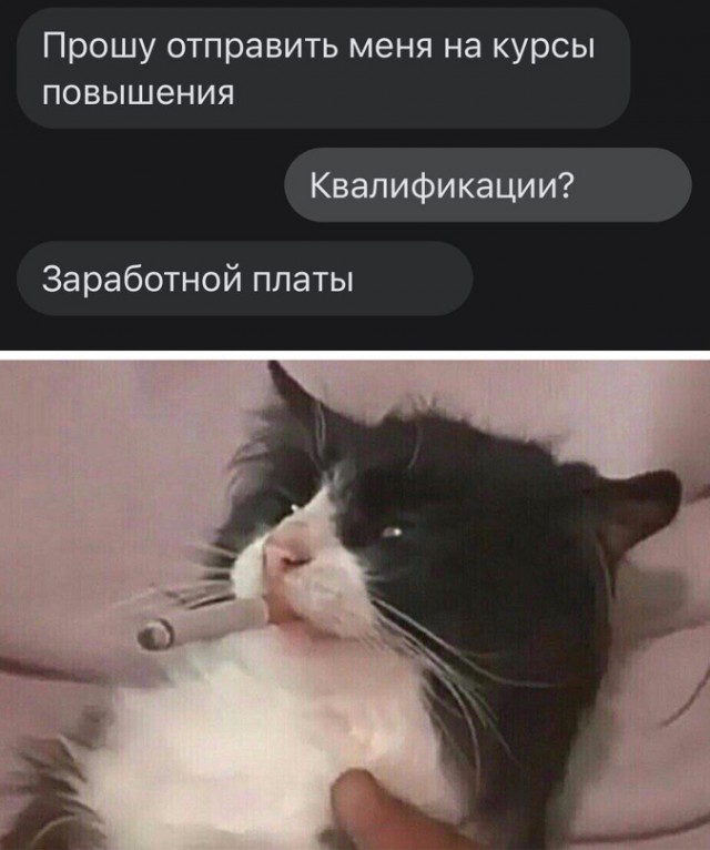 Весёлый полтишок 11.03