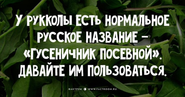 Зачем приглашать женщину в ресторан