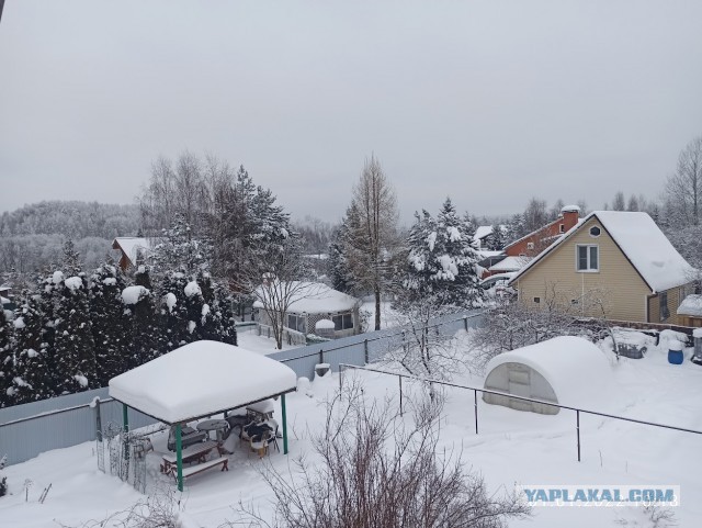 Первое января глазами непьющего человека