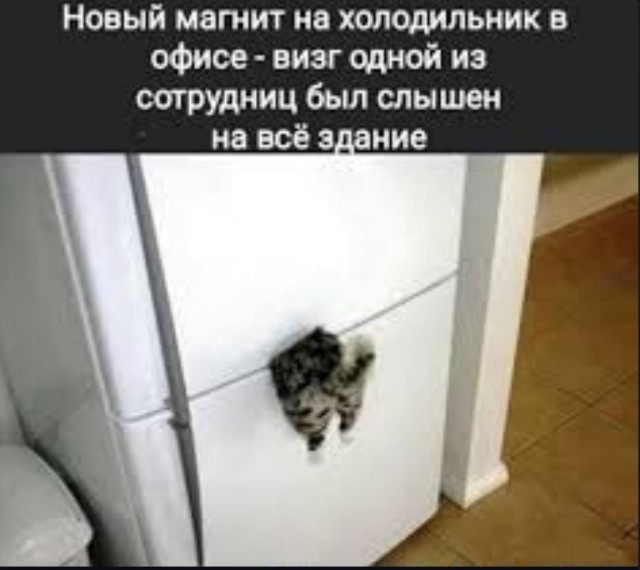 Картинки и мемы для настроения. Выходные скоро