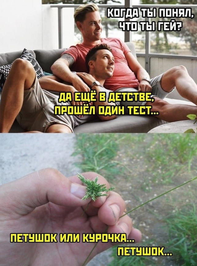 Немного мемчиков. Для взрослых. Часть 17