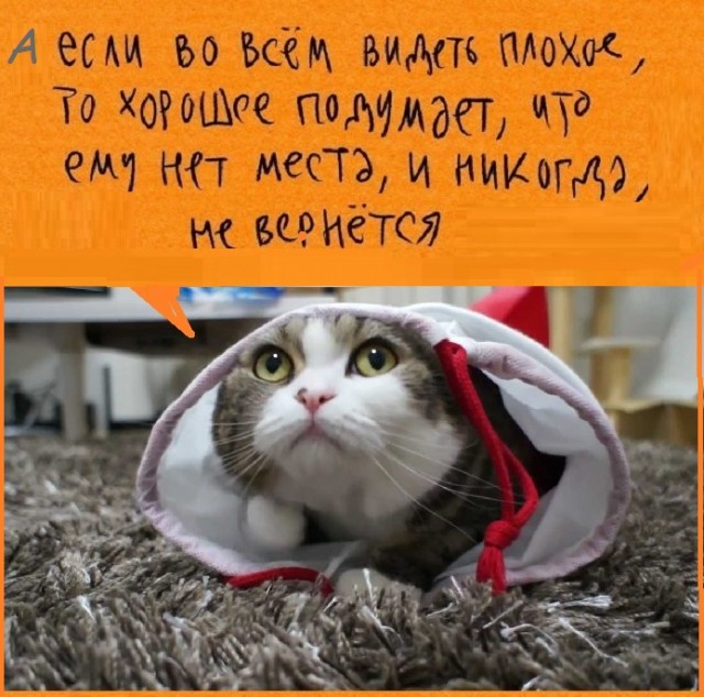 Картинки со смыслом